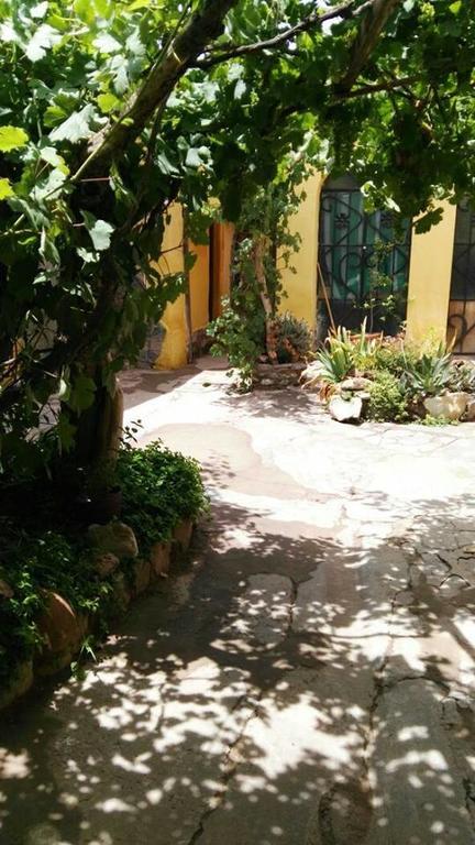 Andino Hostel 蒂尔卡拉 外观 照片